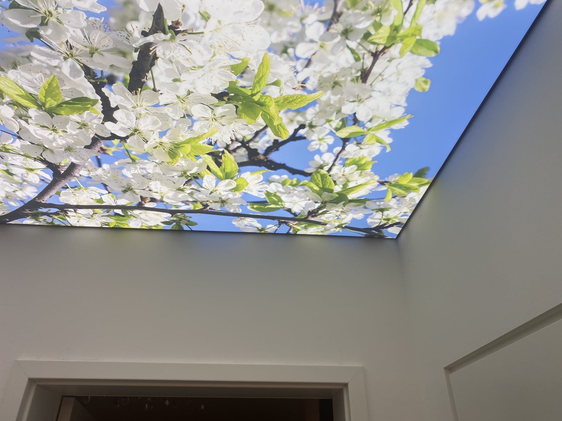 Bedruckte Spanndecke — Referenzprojekt 11